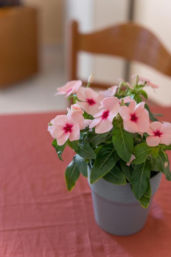 Ammousa Hotel Apartments Lixouri Dış mekan fotoğraf