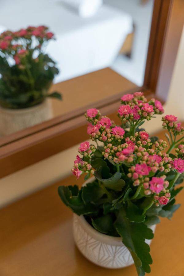 Ammousa Hotel Apartments Lixouri Dış mekan fotoğraf