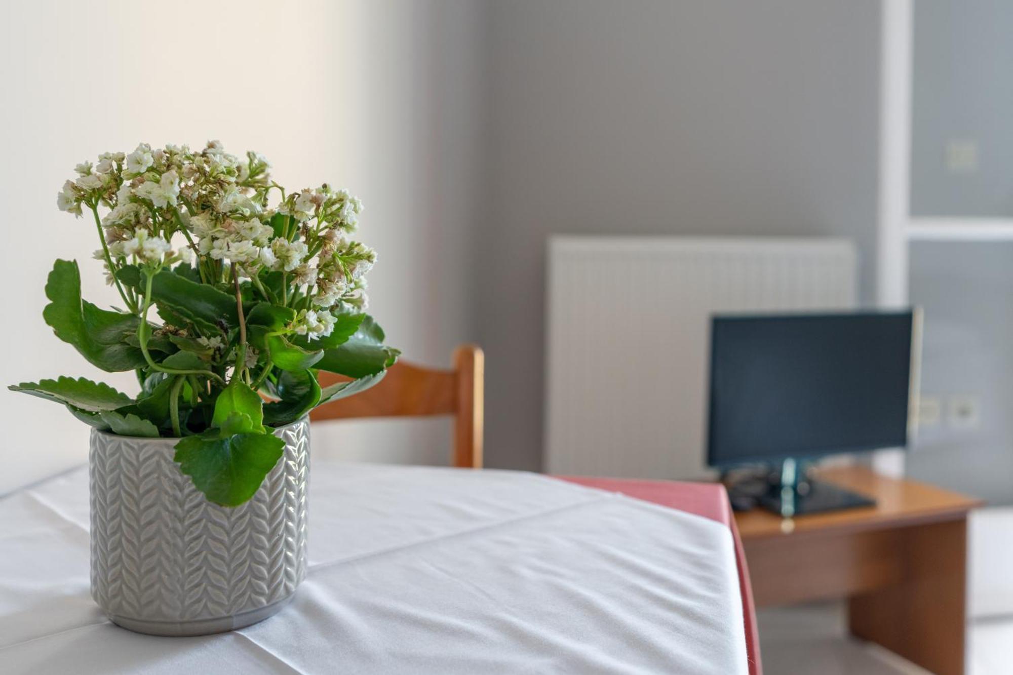 Ammousa Hotel Apartments Lixouri Dış mekan fotoğraf