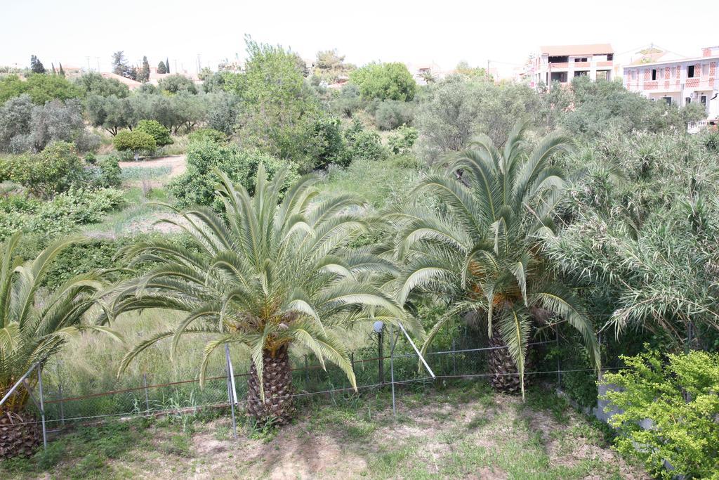 Ammousa Hotel Apartments Lixouri Dış mekan fotoğraf